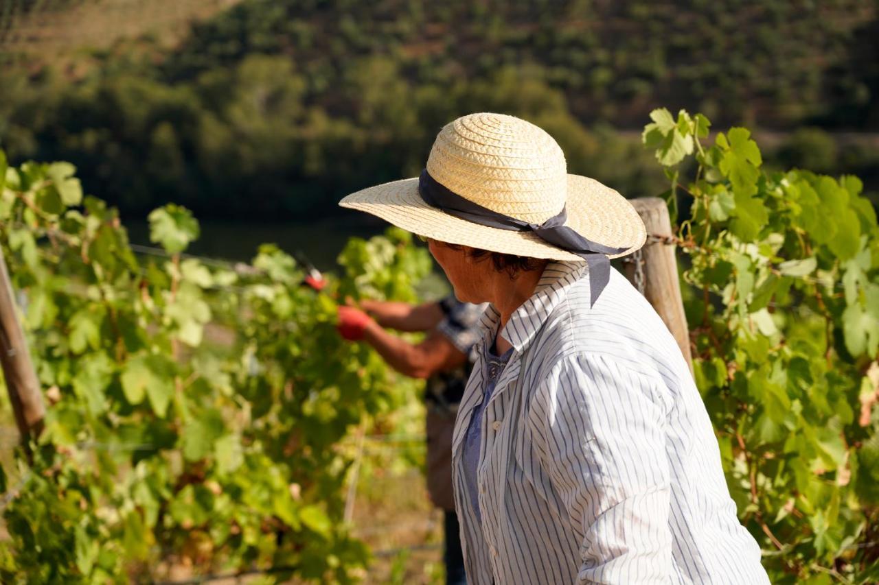 Quinta De S. Jose - Turismo Rural Ervedosa do Douro ภายนอก รูปภาพ