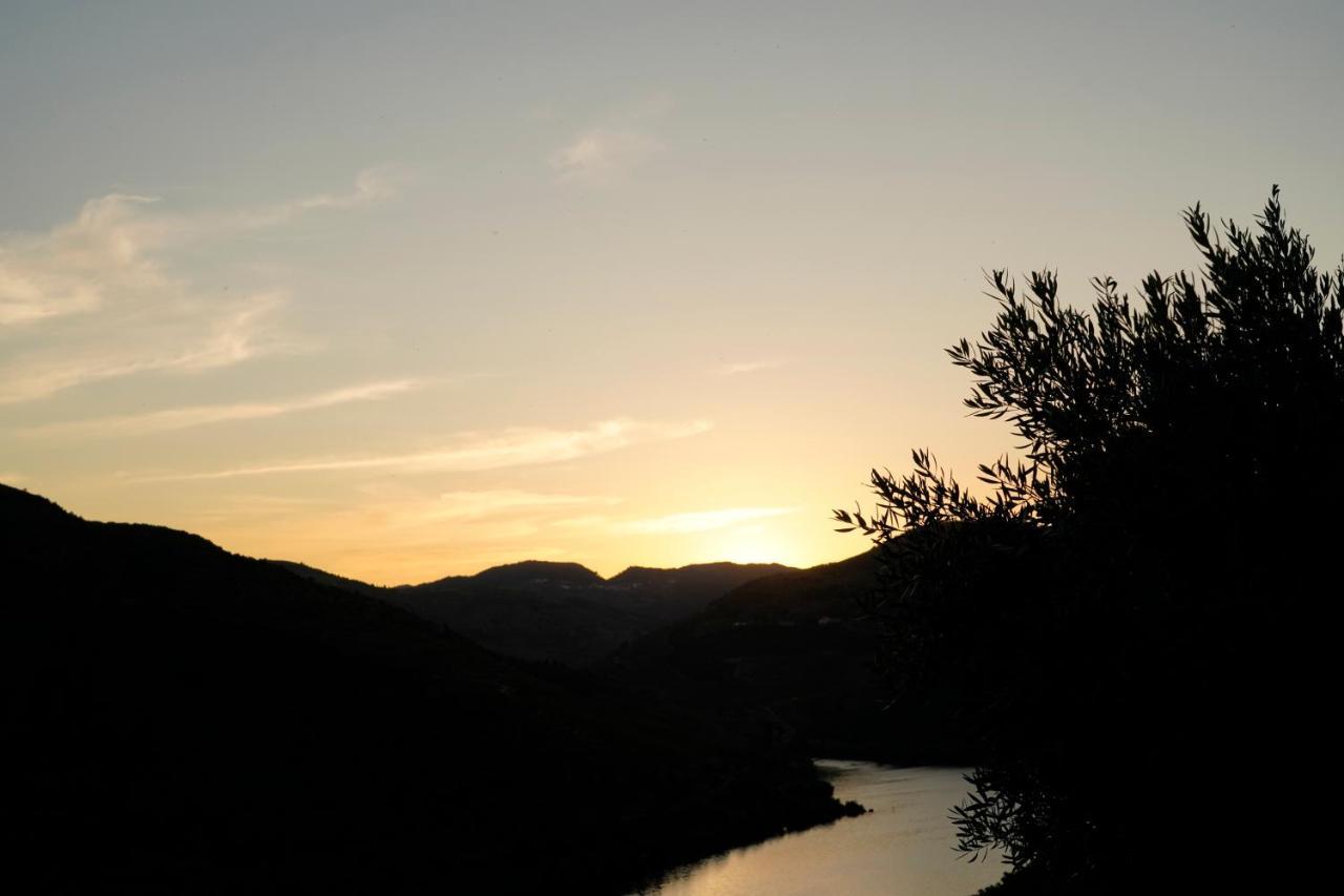 Quinta De S. Jose - Turismo Rural Ervedosa do Douro ภายนอก รูปภาพ